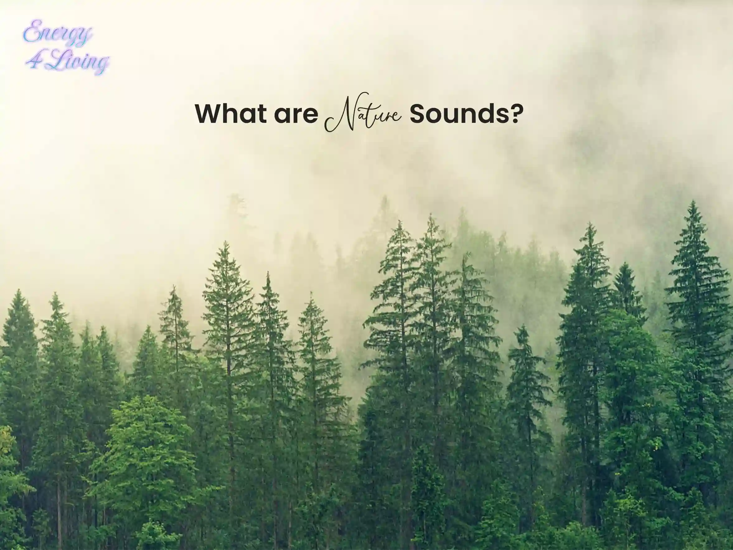 What are Nature Sounds