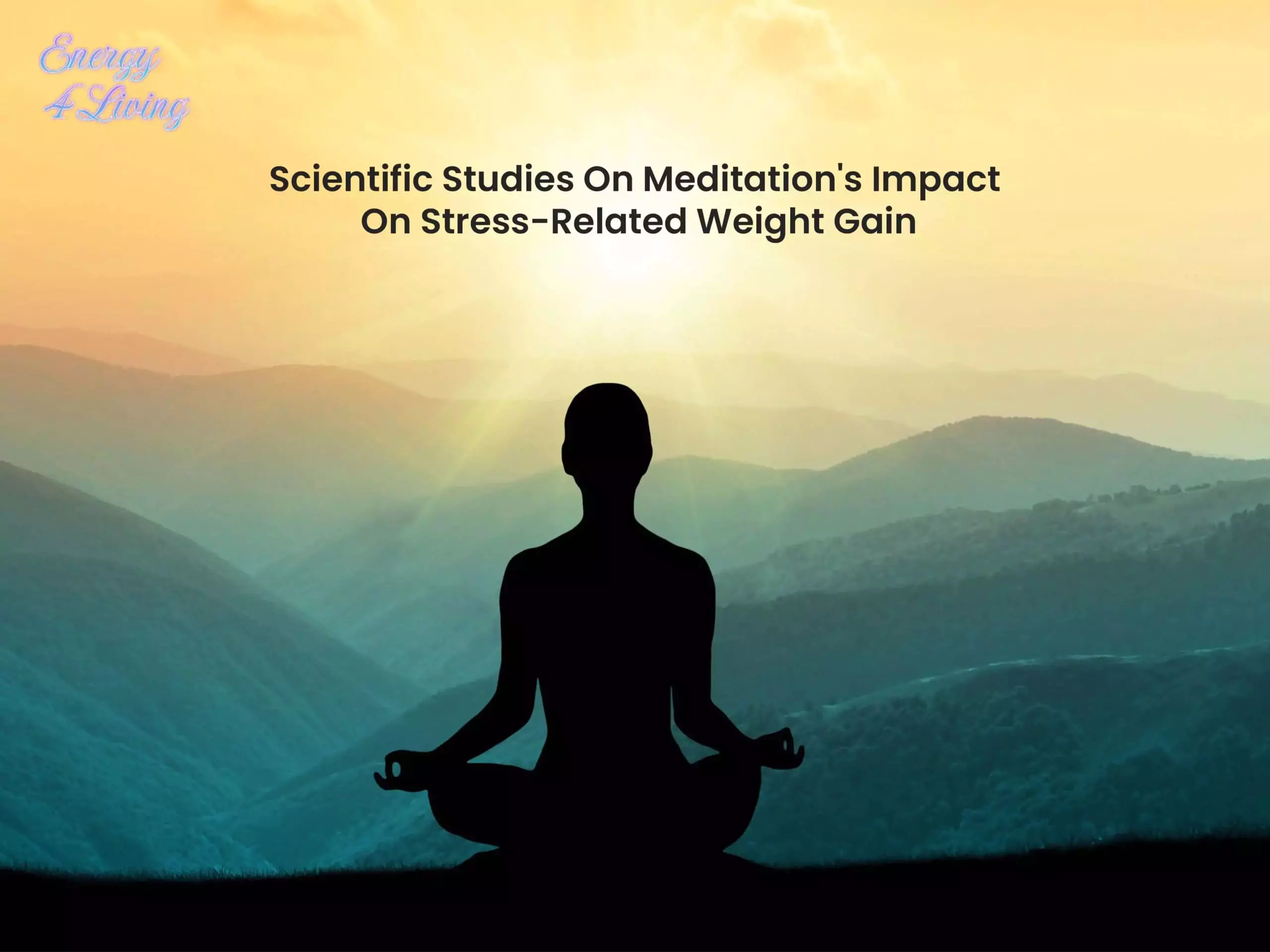 https://energy4living.com.au/the-connection-between-meditation-and-weight-loss/